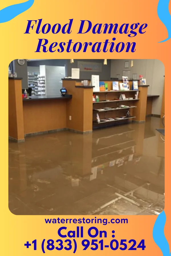 Flood Damage Restoration in Barnesville, MD