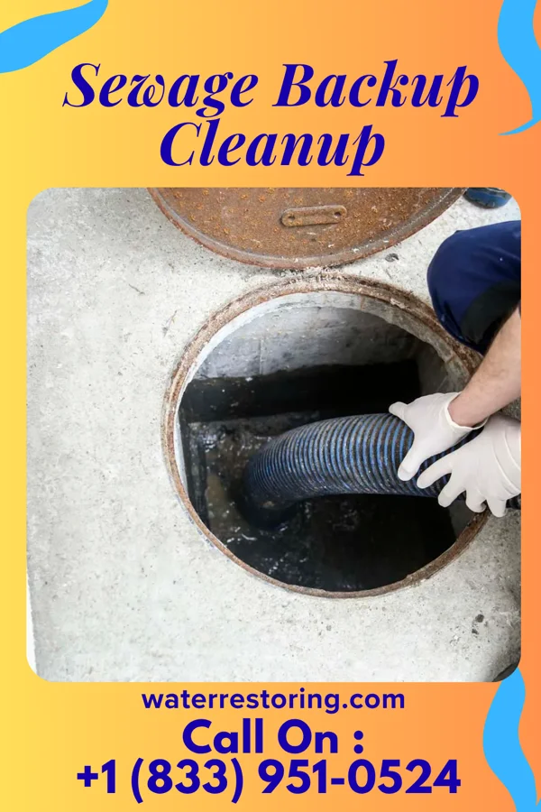 Sewage Backup Cleanup in Barnesville, MD