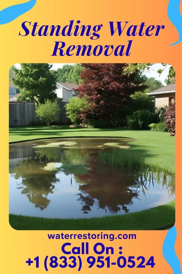 Standing Water Removal in Barnesville, MD